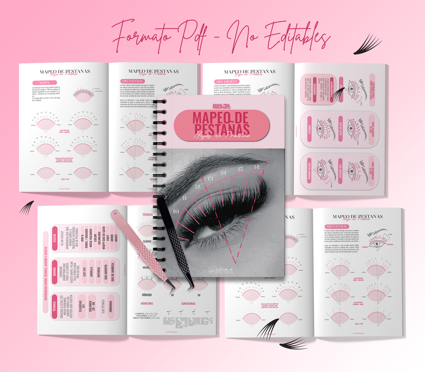 Paquete Lashista | Lash Planner Editable + Hojas de Practica de Mapeo de Pestañas formato PDF