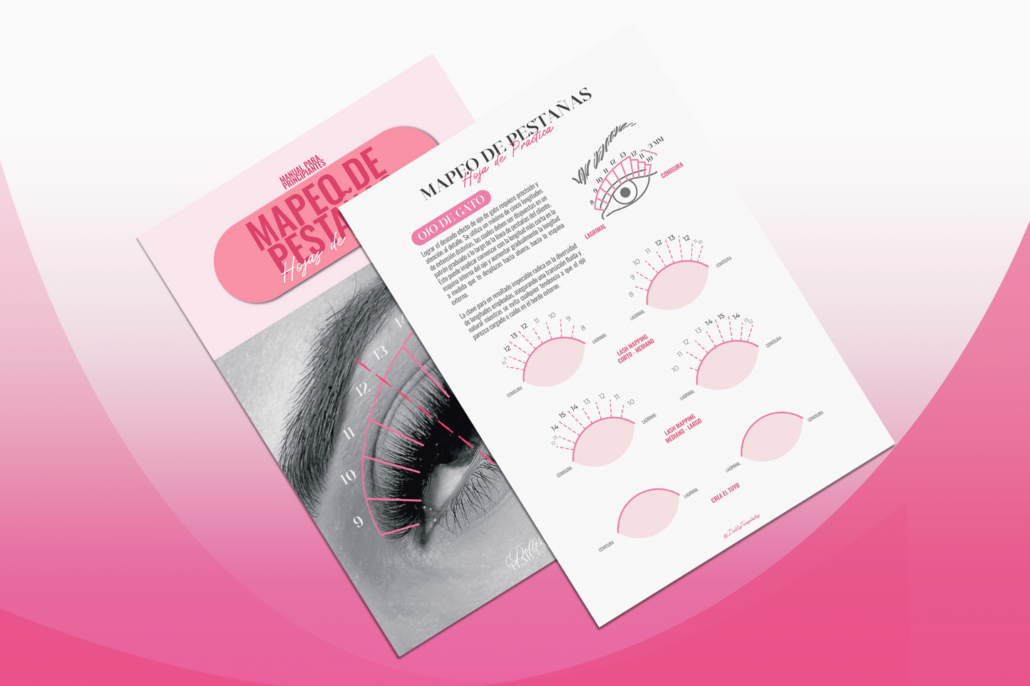 Paquete Lashista | Lash Planner Editable + Hojas de Practica de Mapeo de Pestañas formato PDF